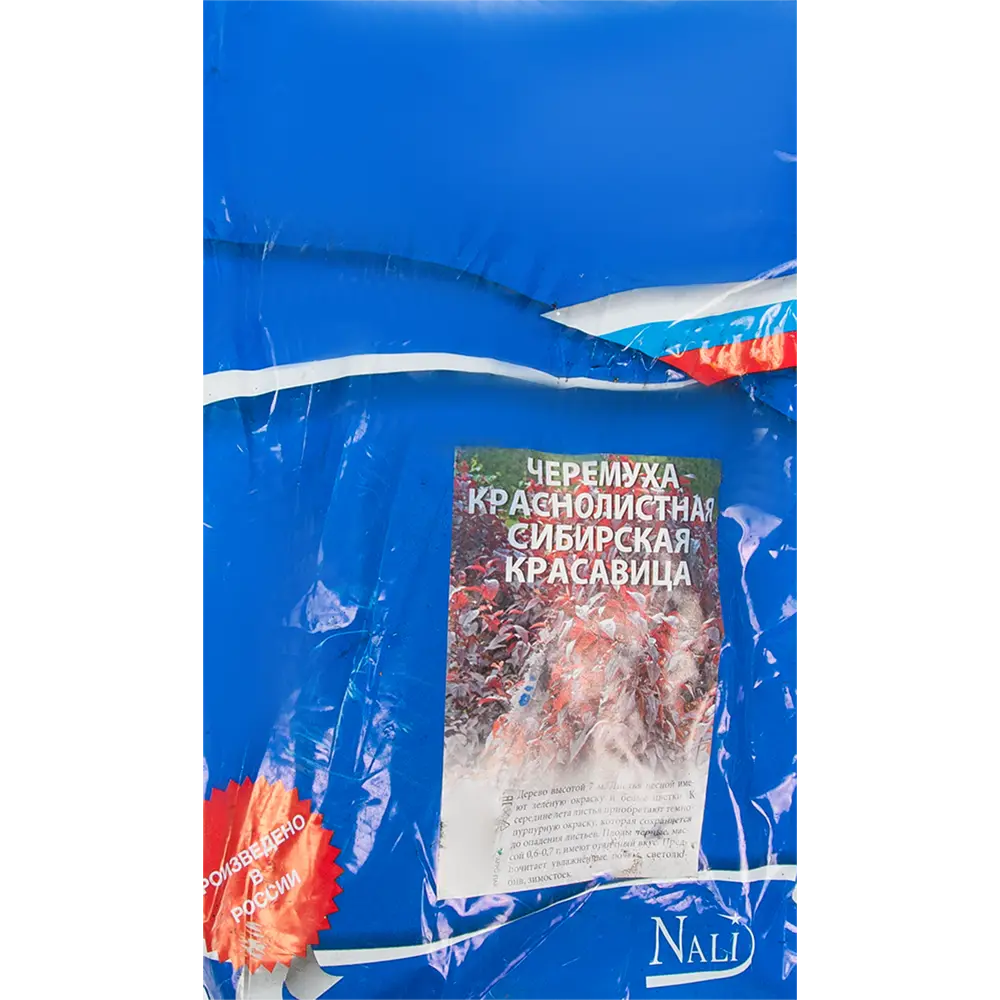 Черемуха «Сибирская красавица» в пакете Santreyd STLM-2049292 - Вид №2