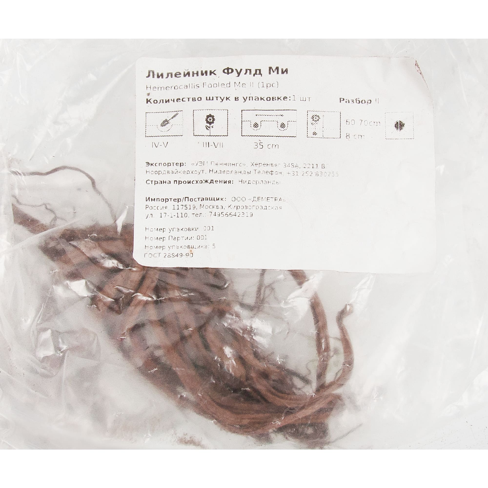 83761010 Лилейник Фулд Ми луковица 5/6 Santreyd  - Вид №1