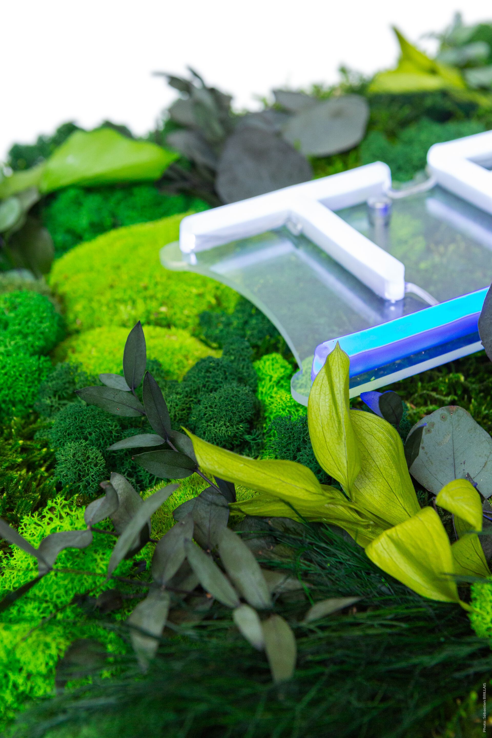 Растительная картина в лишайниках Tecsound PureKustik ARCH-00093539 - Вид №7