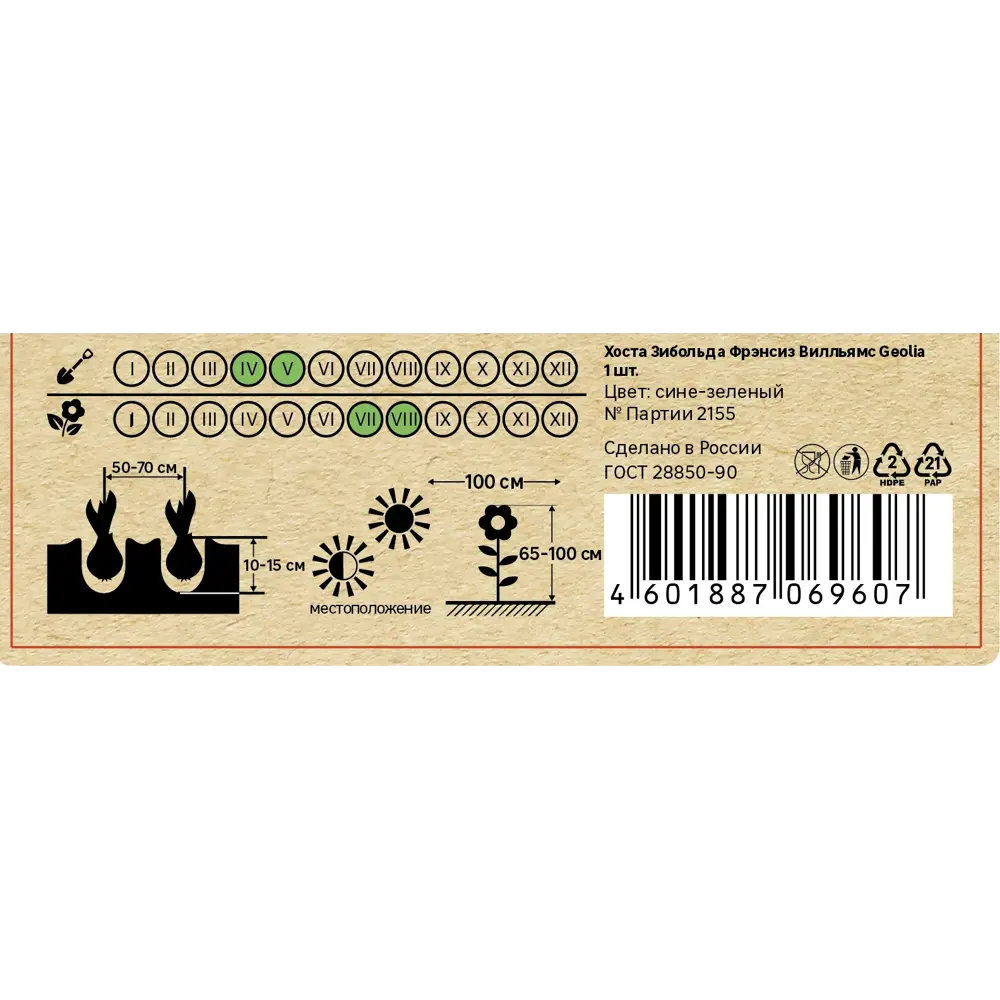Хоста Зибольда Фрэнсиз Вилльямс Santreyd STLM-2117394 - Вид №4
