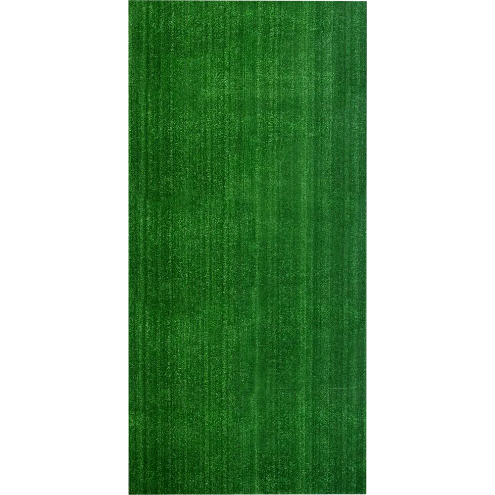 Искусственная трава «Мохито» 6 мм в рулоне 1х2 м Santreyd STLM-2118284