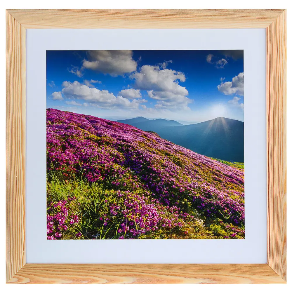 Постер в раме 40х40 см «Горные цветы» Santreyd STLM-2210192