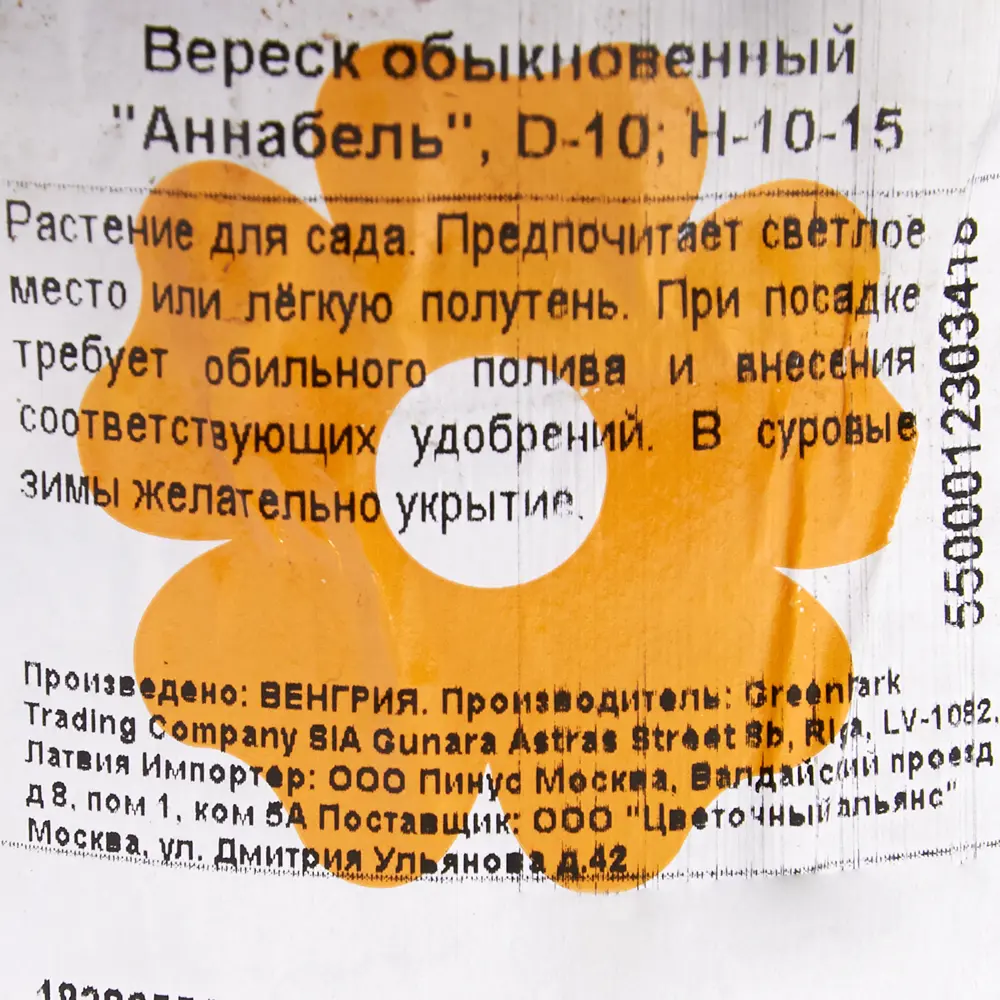 Вереск обыкновенный «Аннабель», 10х10-15 см 18382553 STLM-2207979 Santreyd  - Вид №1