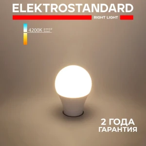 Лампа светодиодная ELEKTROSTANDARD a060106 E27 175-240 В 12 Вт шар большой 1100 Лм нейтральный белый свет