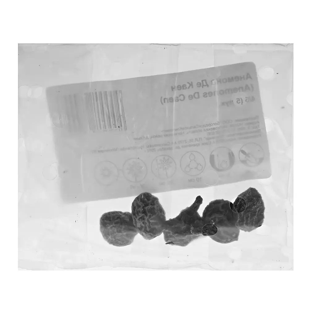 Анемона Geolia «De Caen» STLM-2010784 - Вид №1