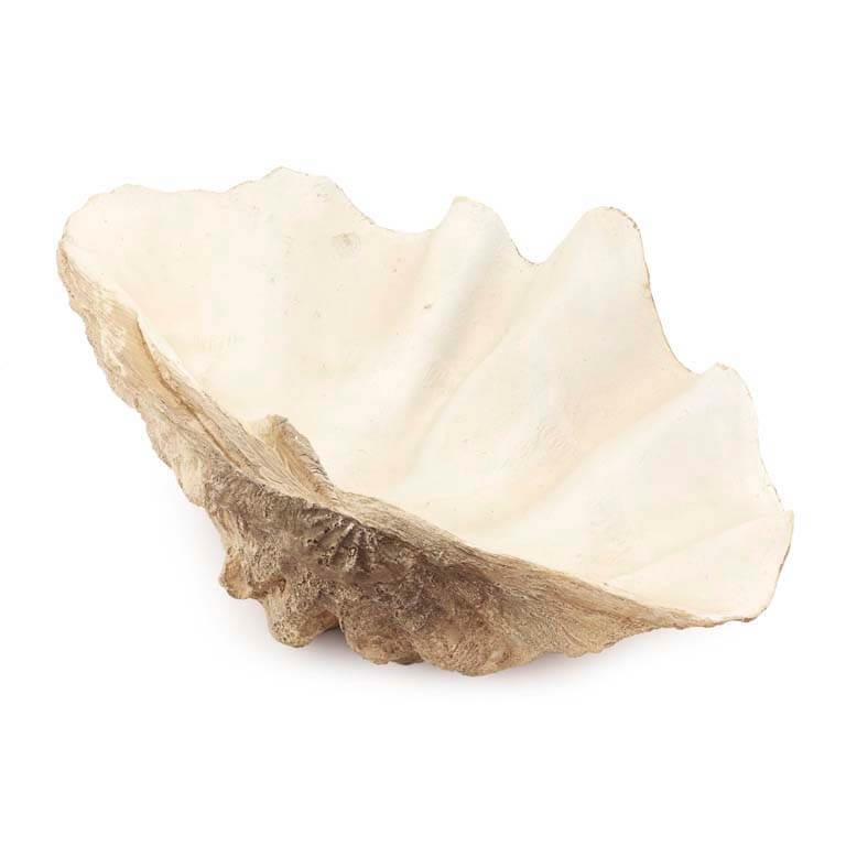 600601-00 ABHIKA TRIDACNA MED NATURAL  - Вид №1