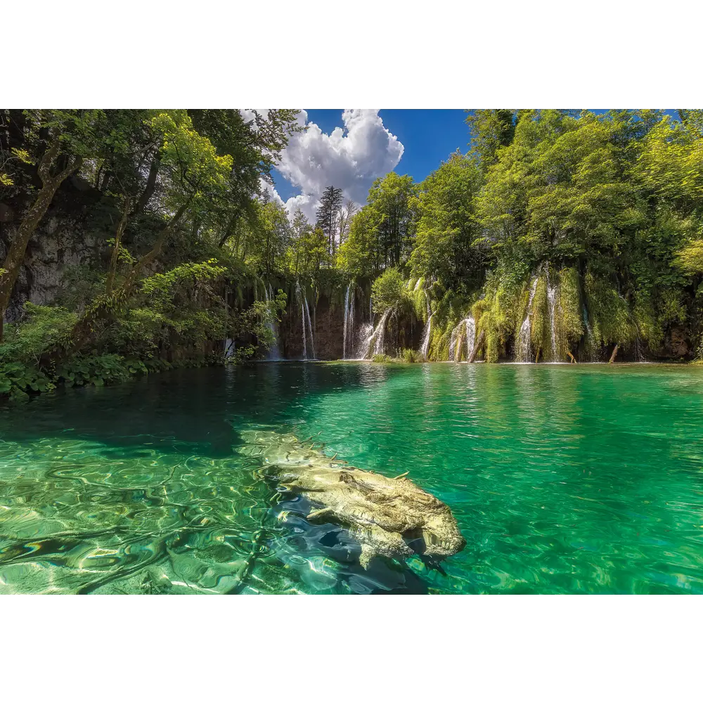 Фотообои «Эдем» бумажные 386x254 см 8-533 80120491 STLM-2191831 Komar National Geographic