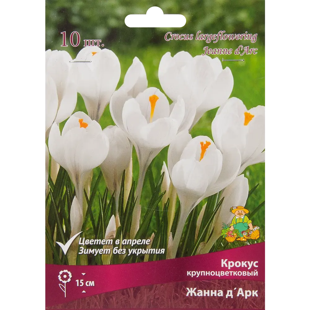 Крокус Жанна Д'Арк от ПОИСК - белые крупные цветы, 10 луковиц 85204842 STLM-1565479