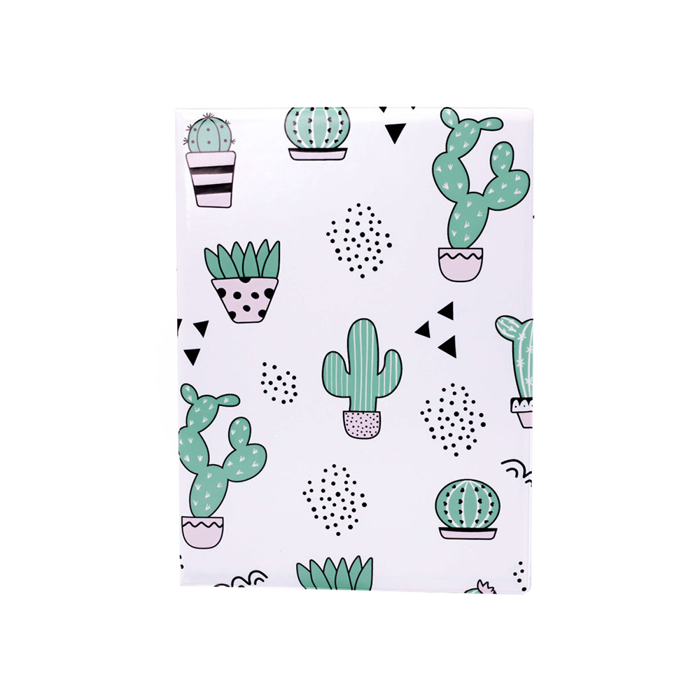 15415 Органайзер для документов семейный А4 Succulents Santreyd 