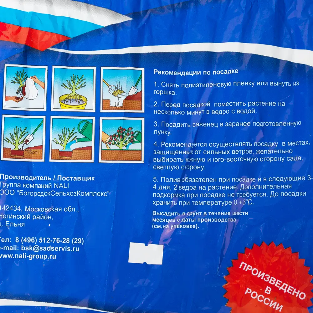 Смородина Пигмей в пакете БогородскСельхозКомплекс Santreyd STLM-2005044 - Вид №2