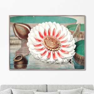 91277962 Картина «» A gigantic water lily in bloom, 1870г. STLM-0532618 КАРТИНЫ В КВАРТИРУ