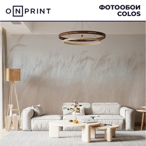 Фотообои флизелиновые Onprint 500x270 см Colos