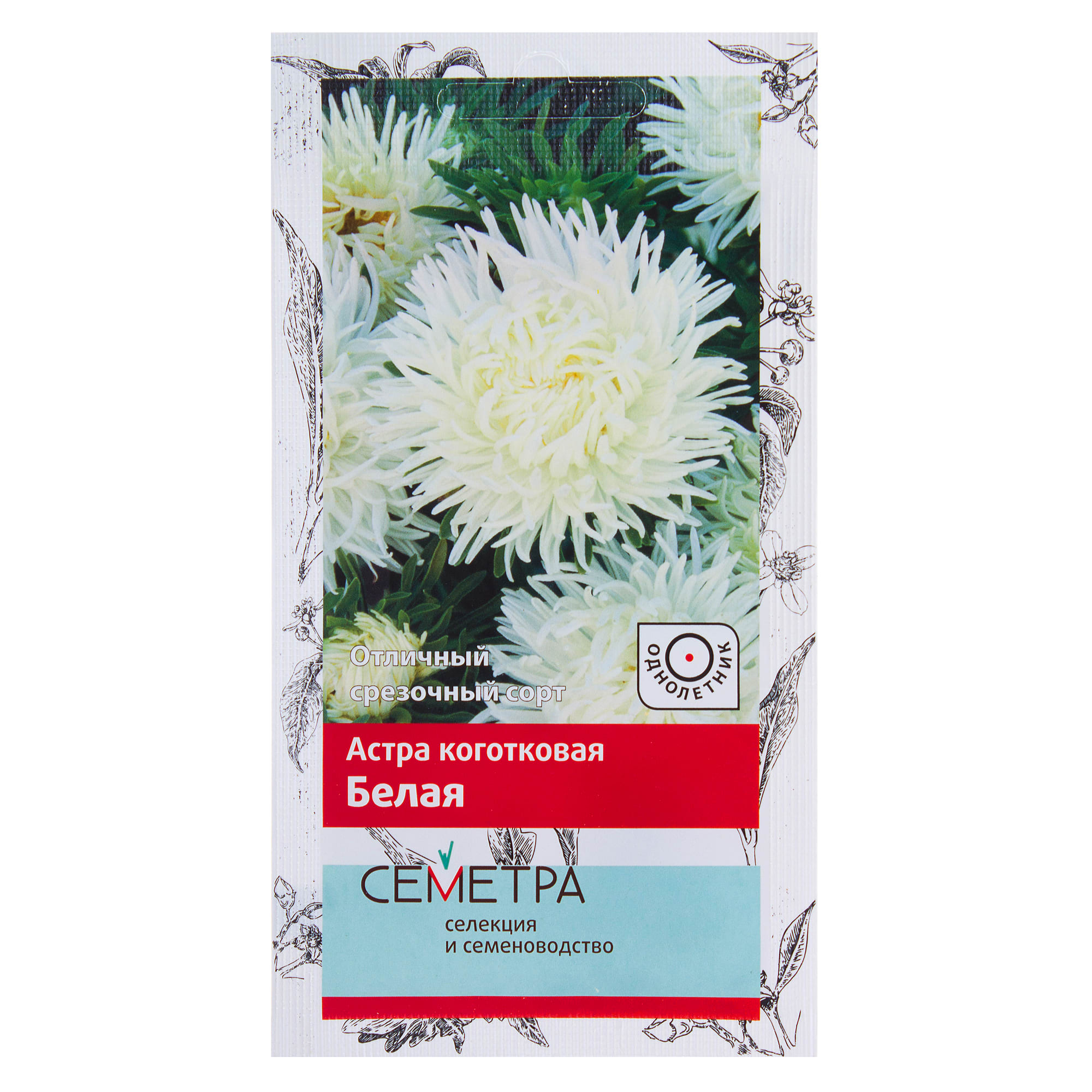 18359062 Астра коготковая цвет белый Santreyd 