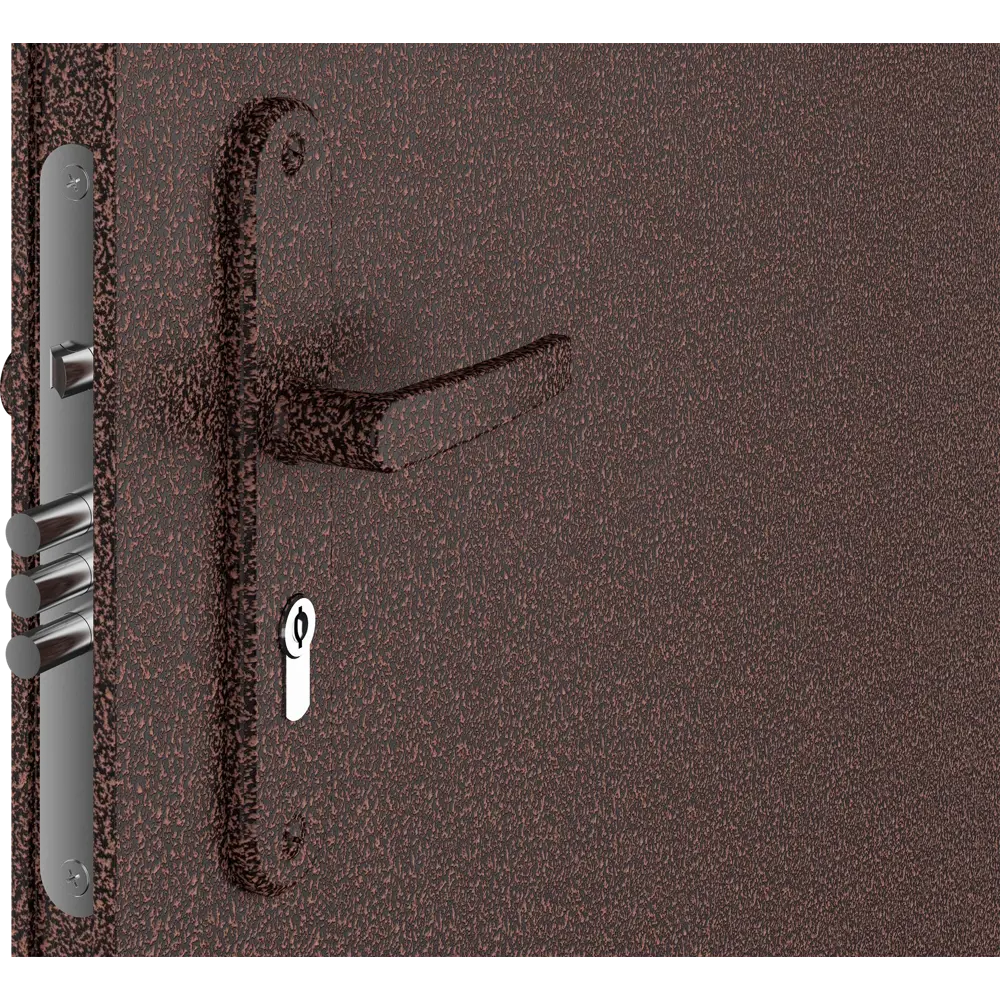 Дверь входная металлическая Лидер, 860 мм, левая, цвет античная медь DOORHAN STLM-2174436 - Вид №1