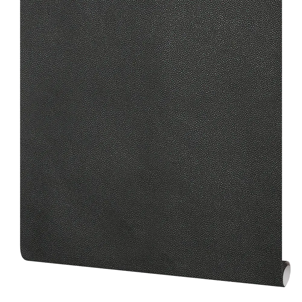 Обои флизелиновые Rasch Cosmopolitan чёрные 0.53 м 576078 STLM-2000928