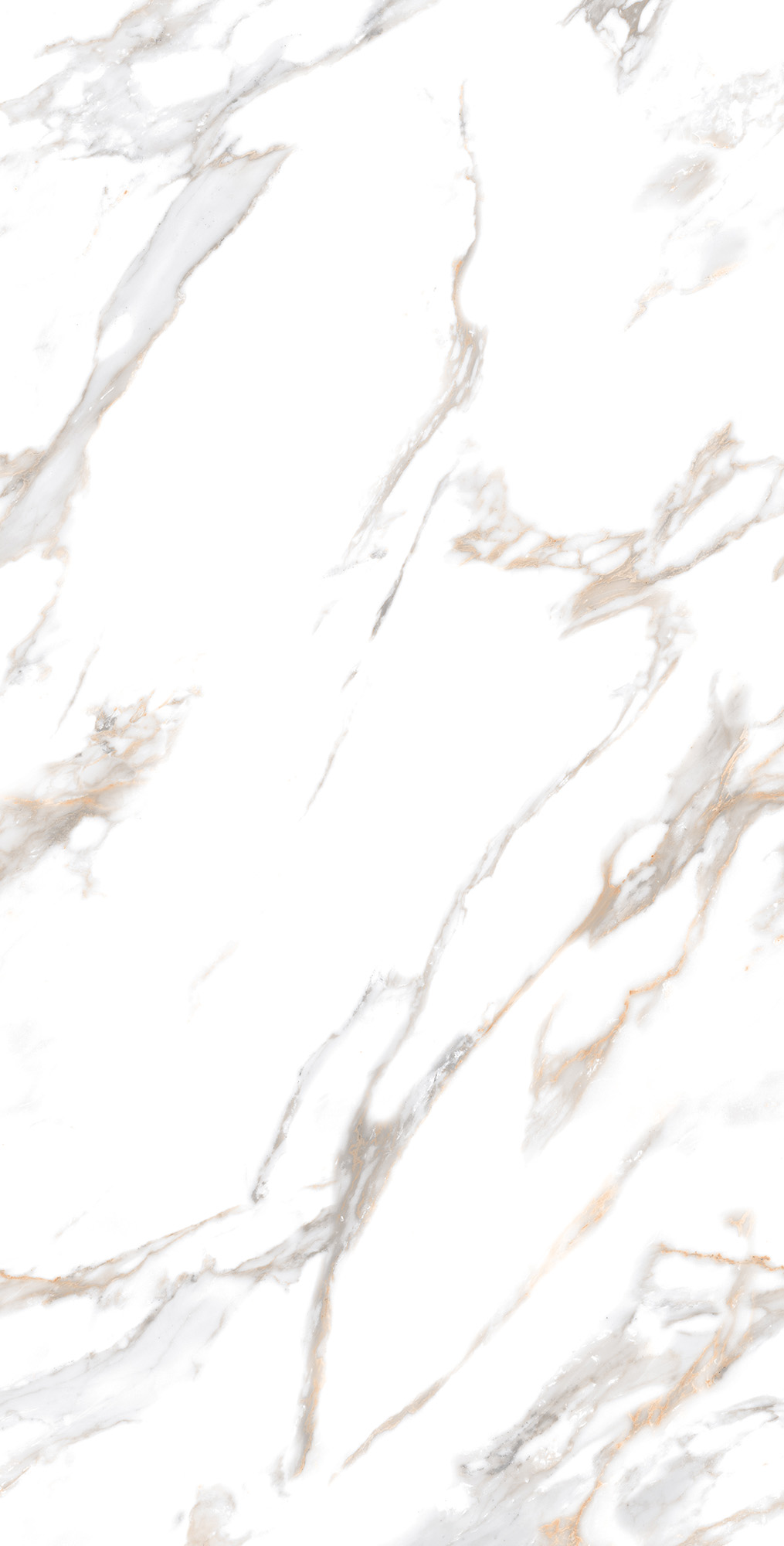 Керамогранит CALACATTA GOLD 60х120 Arcadia Ceramica CR4019-A - Вид №4
