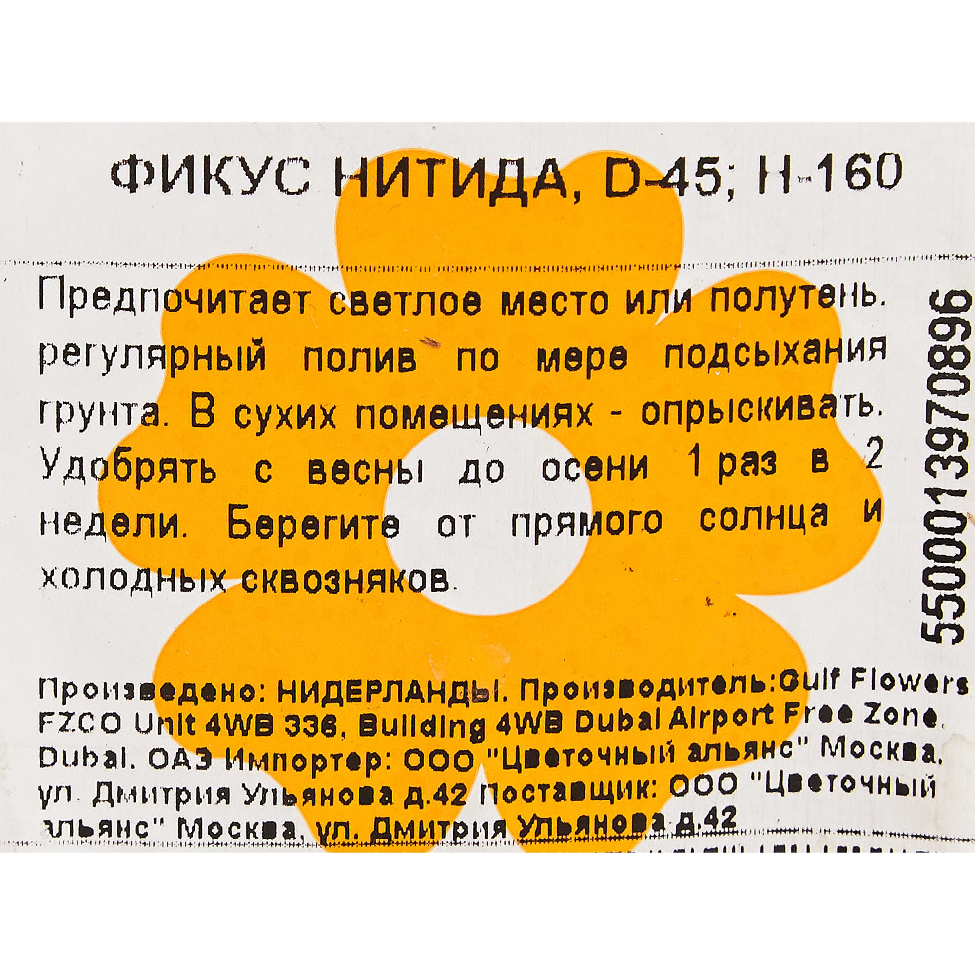 82849690 Фикус Нитида 45х160 см Santreyd  - Вид №2