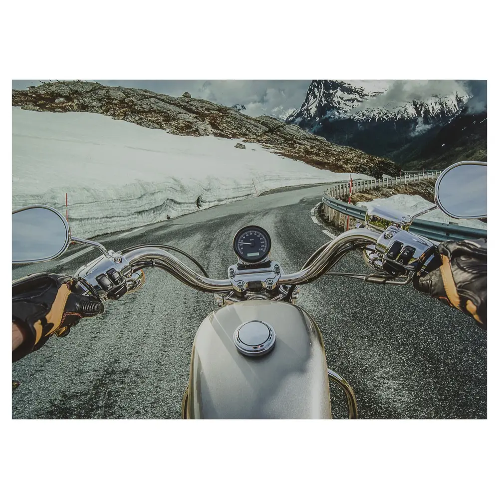 Santreyd «Байкер» — картина без рамы для смелых интерьеров 18823726 STLM-0013013