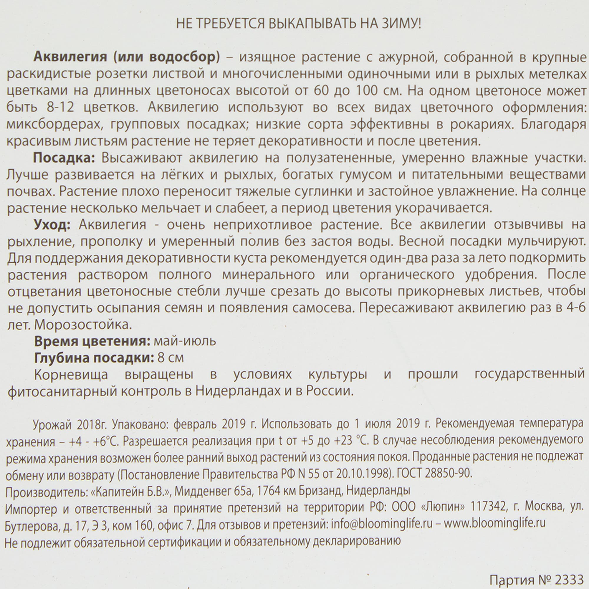 13498282 Аквилегия Спринг Меджик I Santreyd  - Вид №2