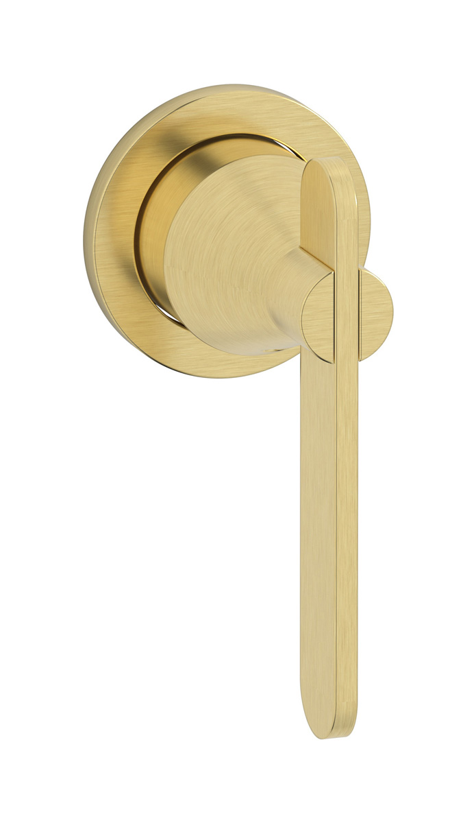 Внешние части встроенного смесителя на 1 потребителя WE ARE IB ol202sr Brushed Pale Gold Soho