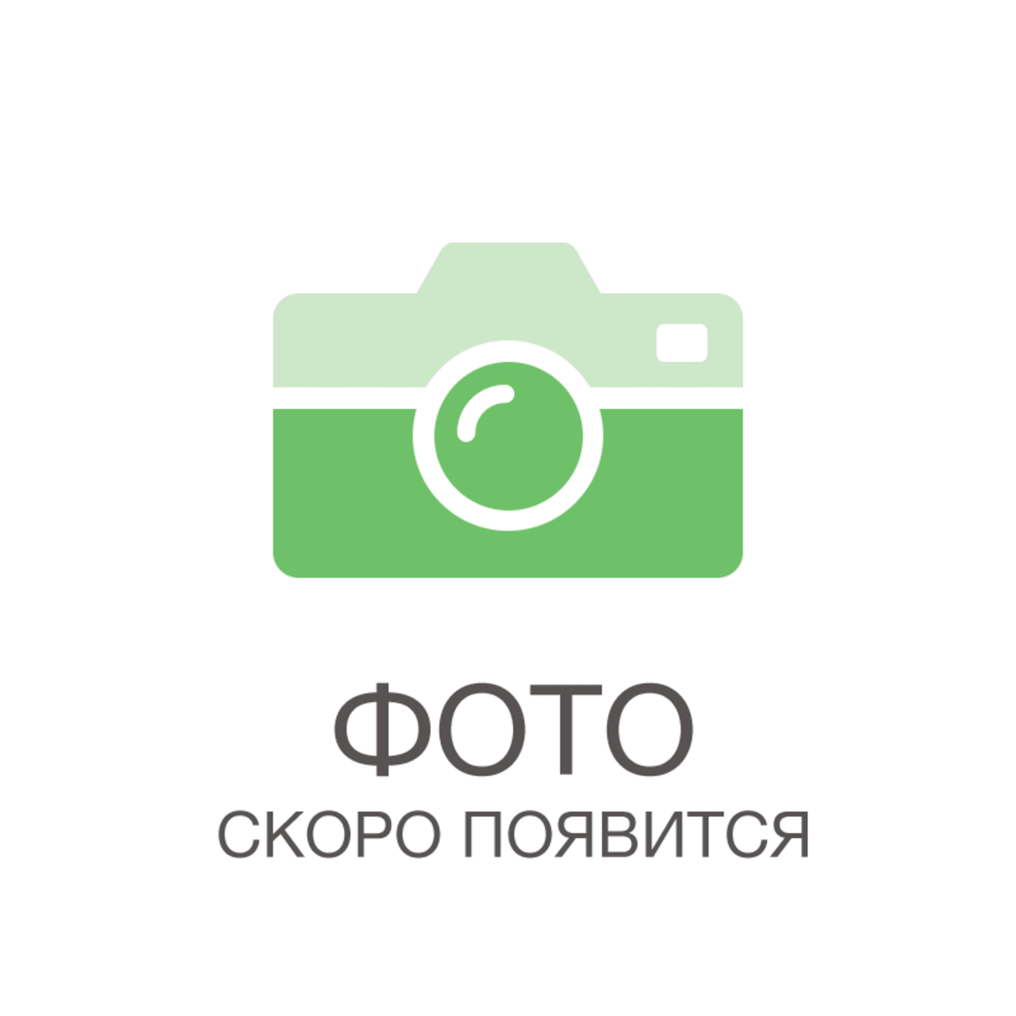85326932 Душица обыкновенная Пончо ø15 h20 см Santreyd 