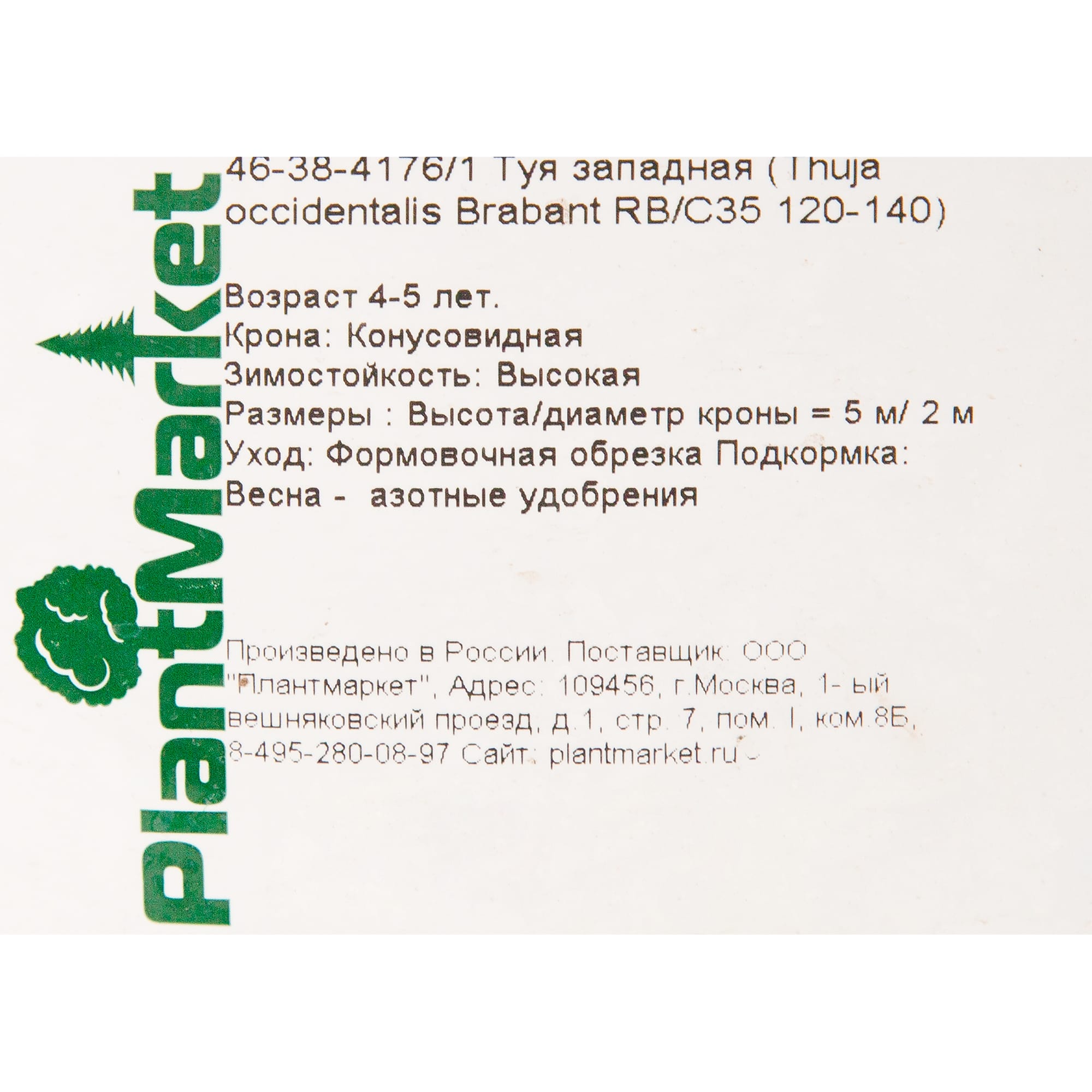 82625360 Туя западная «Брабант» 40x120-140 см Santreyd  - Вид №1