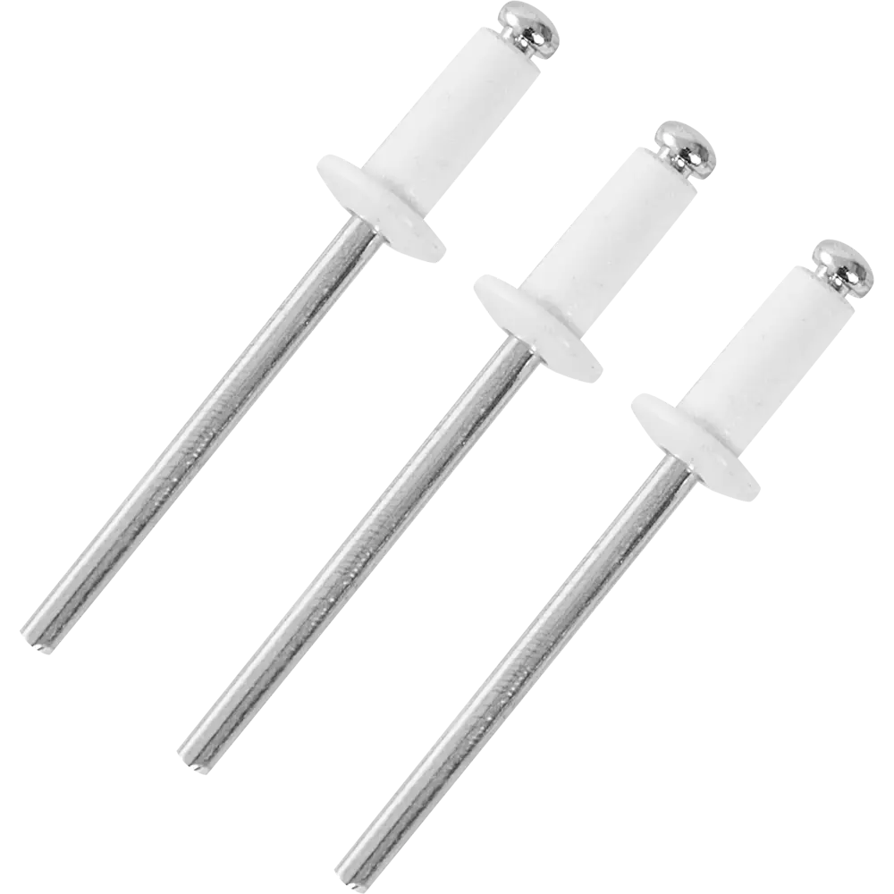 Заклепка RAL9003 белая 4x10 мм, 50 шт Santreyd STLM-2022959