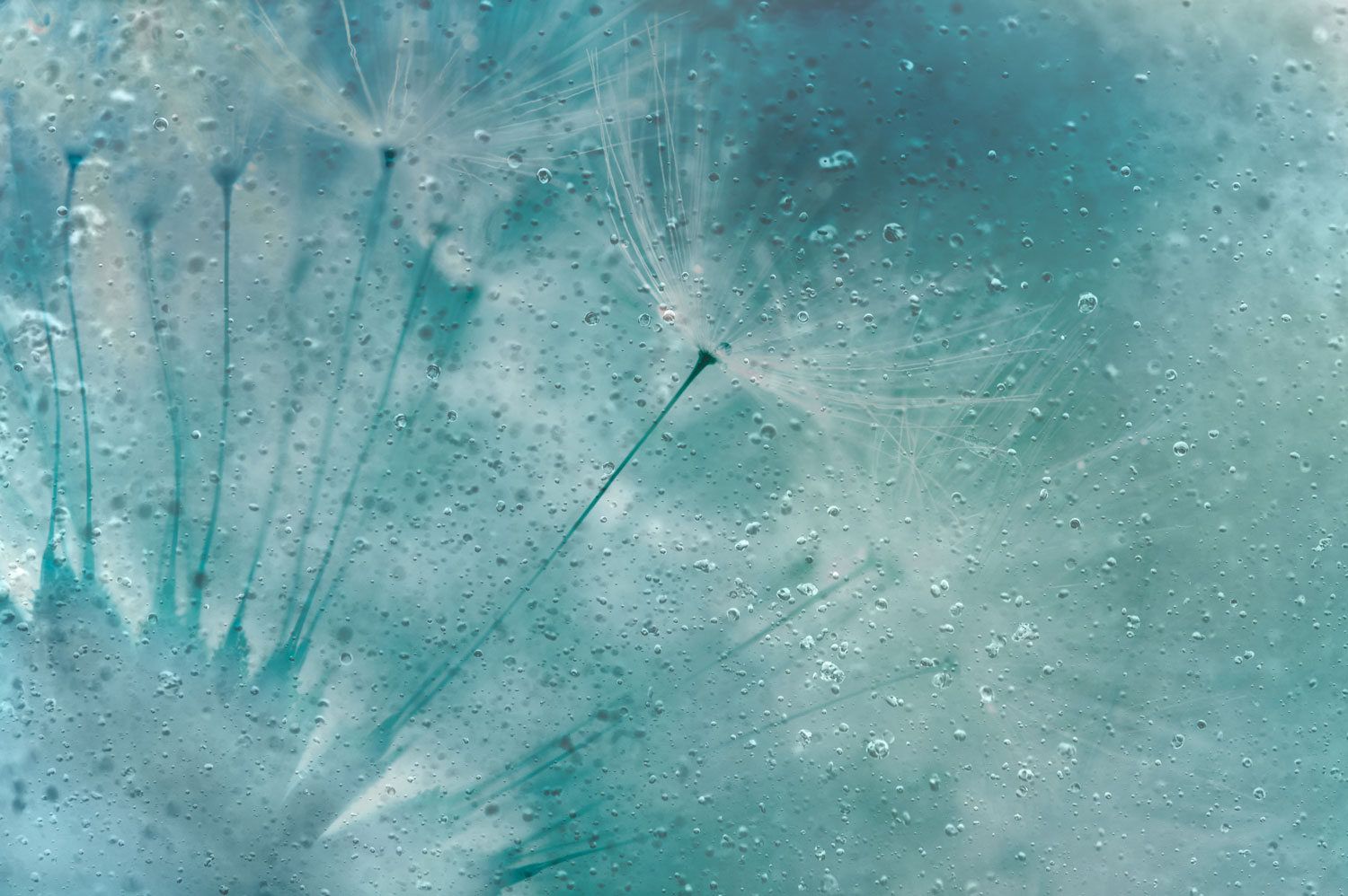 Экологичные обои из рулонной штукатурки Affreschi & Affreschi About You ARCH-00014659 - Вид №1