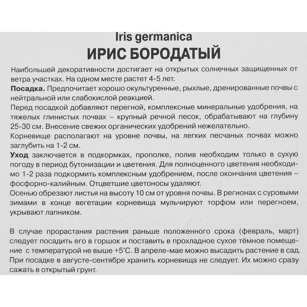 Ирис бородатый Иммортэлити 85185999 STLM-2208804 ПОИСК  - Вид №2