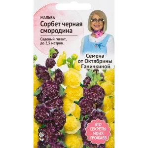Мальва «Сорбет Чёрная смородина» 0.1 г