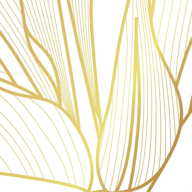 Стеновые панели - Голд флори LIGRON LIST52 2186