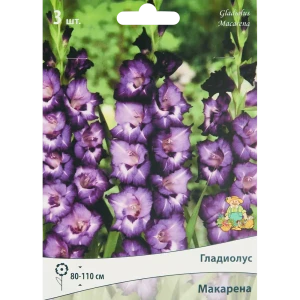 Гладиолус крупноцветковый Макарена, 3 шт 86410026 STLM-2004096
