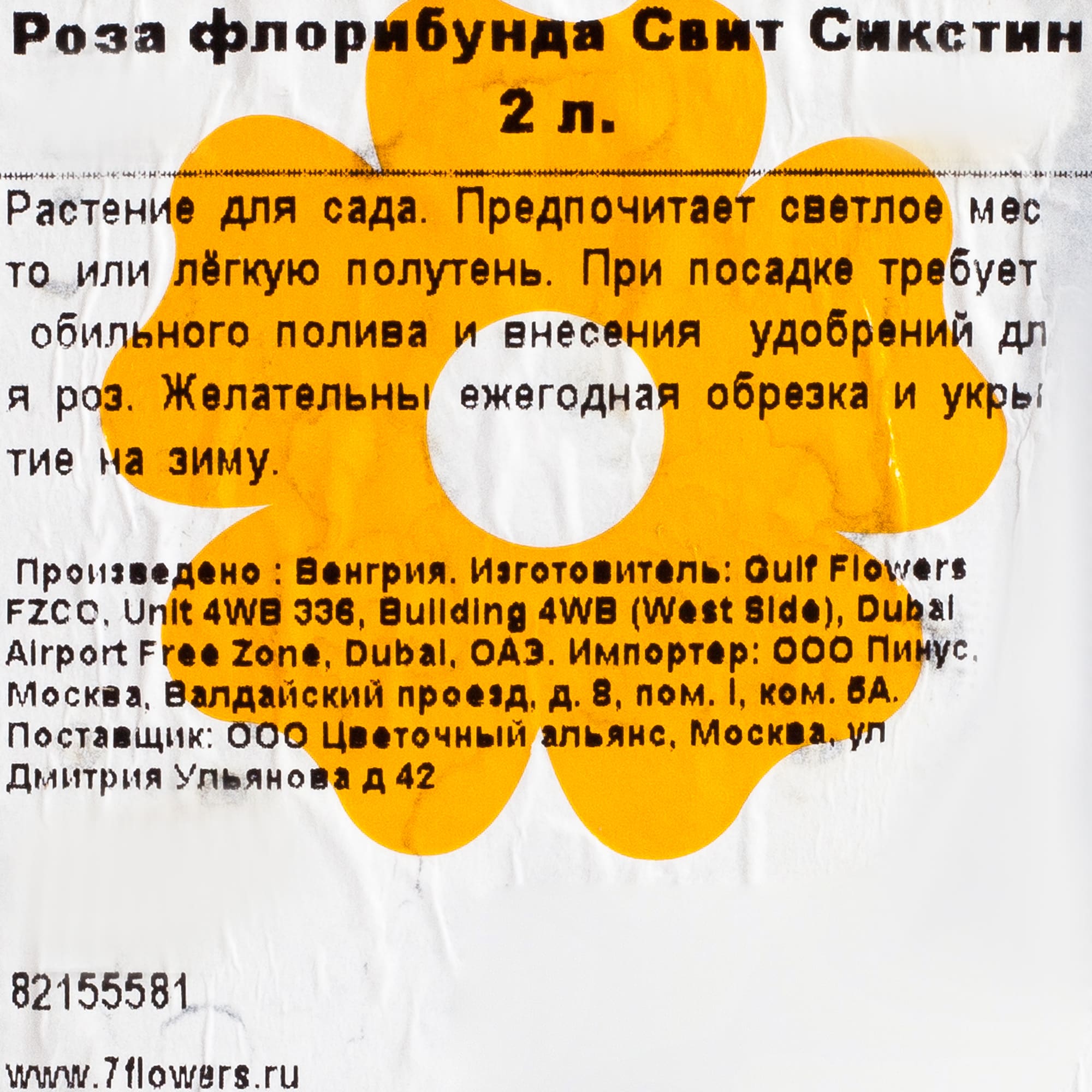 82155581 Роза флорибунда Свит Сикстин 2 л Santreyd  - Вид №1