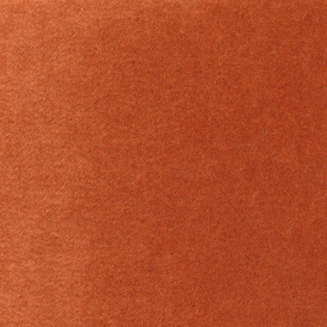 Однотонная ткань из мохера Élitis Pur mohair ARCH-00047028 - Вид №14