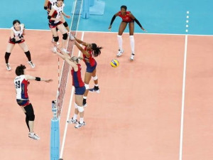 Упругие спортивные полы