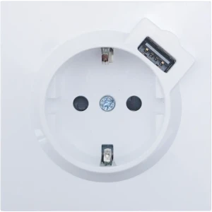 Розетка Lezard Zima с USB-портами для современного интерьера 89398367