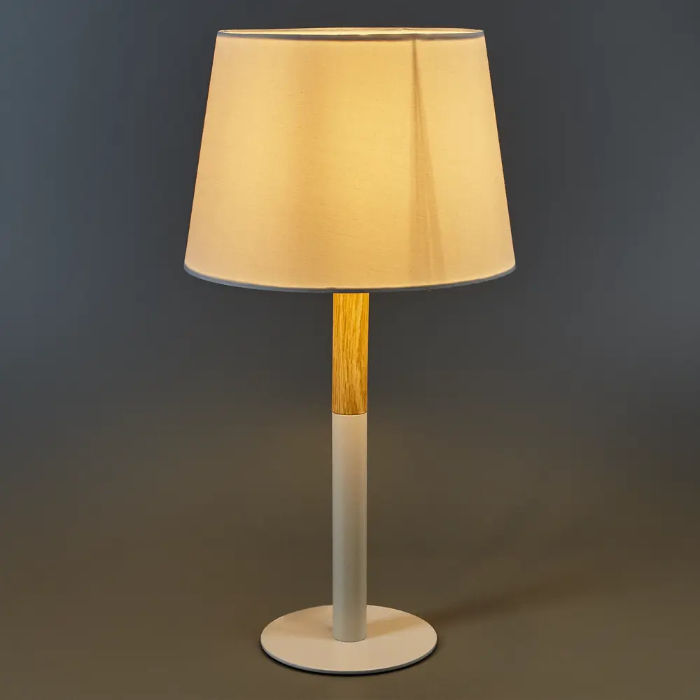 Настольная лампа Arte Lamp Connor STLM-2103123