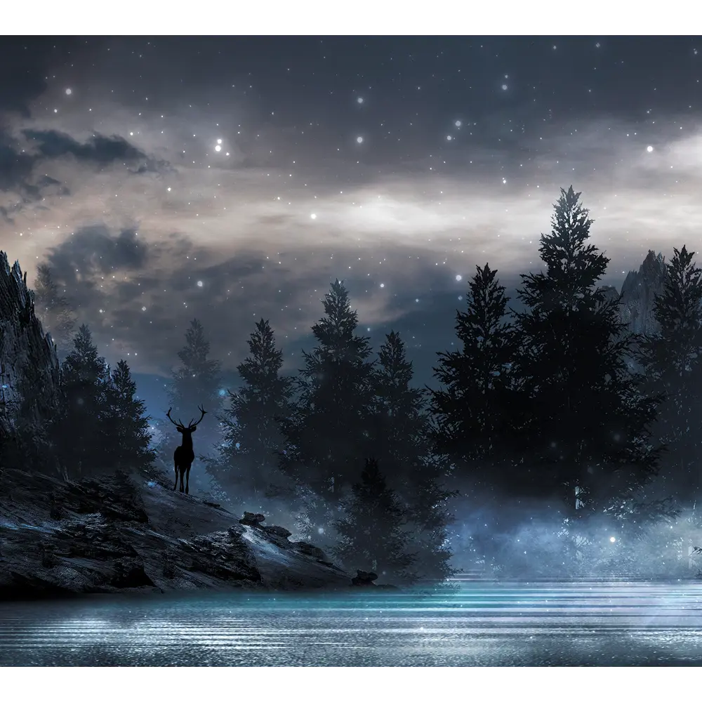 Фотообои Туманная ночь флизелиновые, 300x270 см, L13-206 FBRUSH 3D FLIZART STLM-2013044