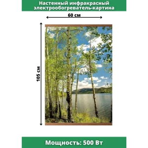 Обогреватель инфракрасный Домашний Очаг Береза 500 Вт настенный 105x60 см