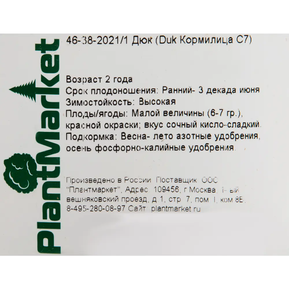 Дюк «Кормилица» 24x80 см 82625421 STLM-2102216 PLANTMARKET  - Вид №1