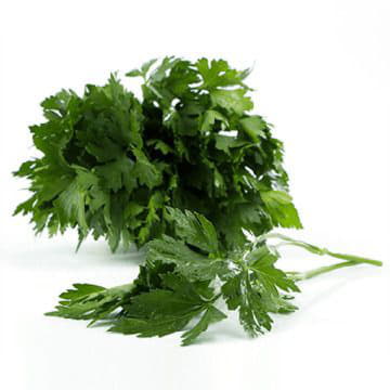 Петрушка Santreyd 1867