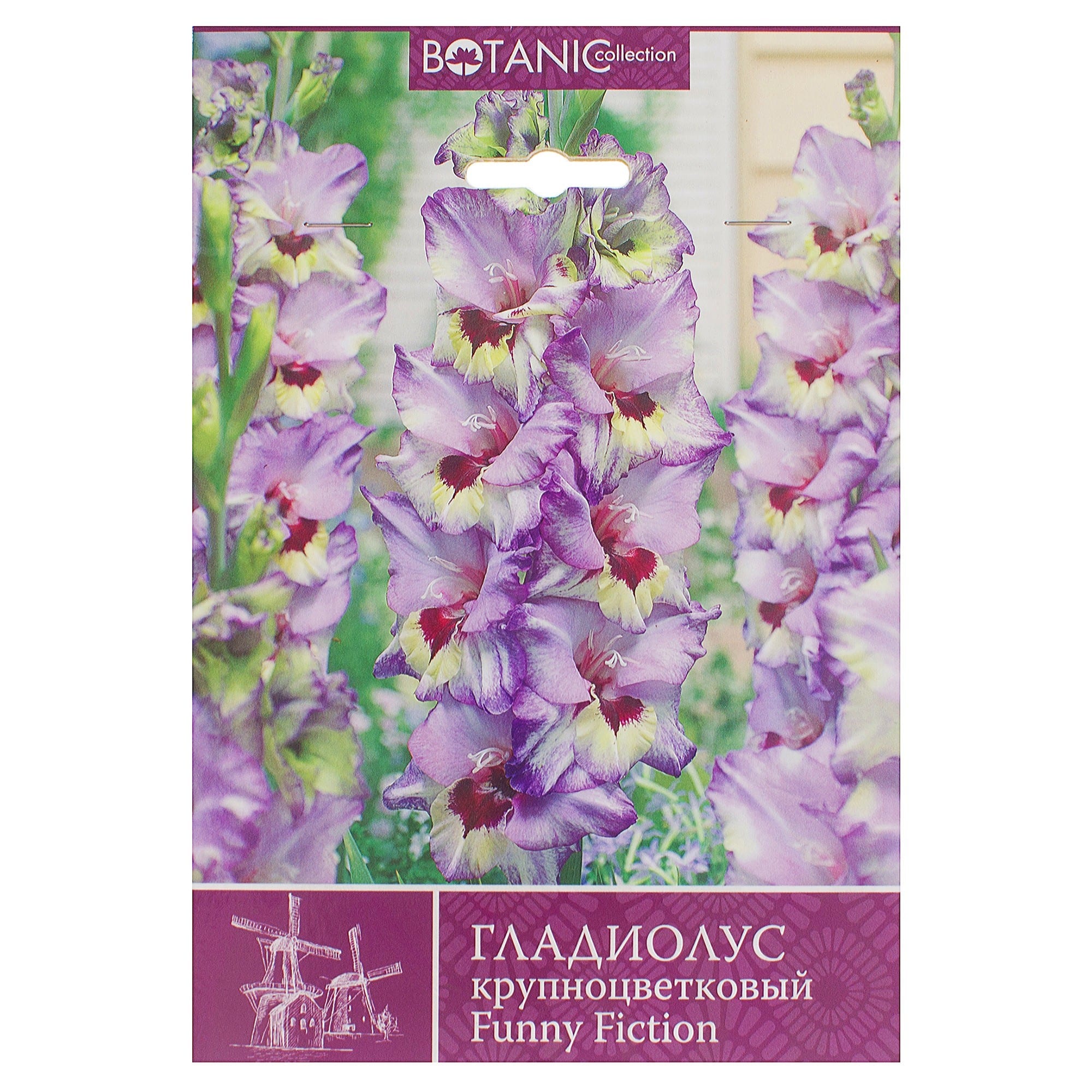 81945876 Гладиолус крупноцветковый «Фанни Фикшн» Santreyd 