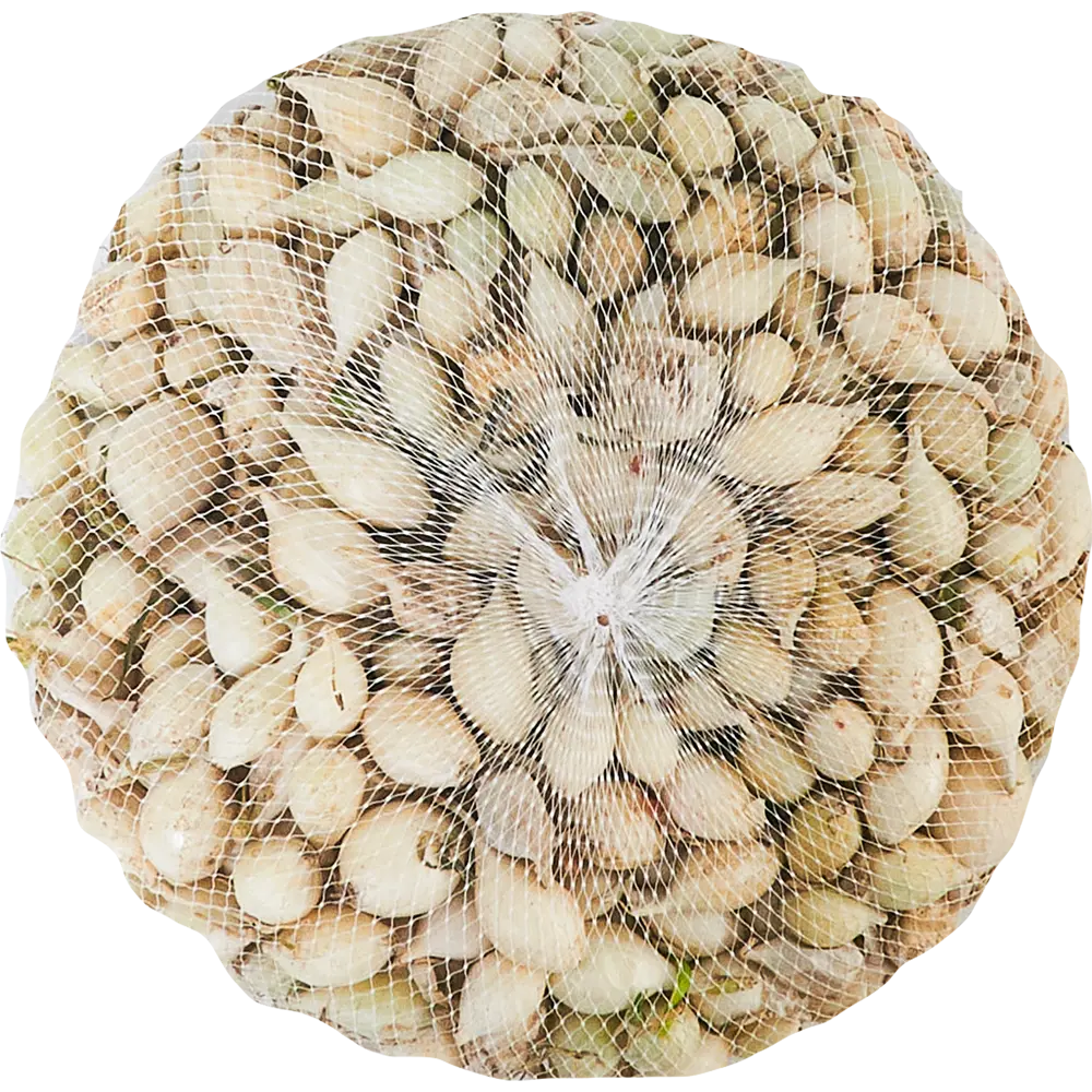 Лук-севок Стардаст 21/24 1 кг Santreyd STLM-2026932 - Вид №2