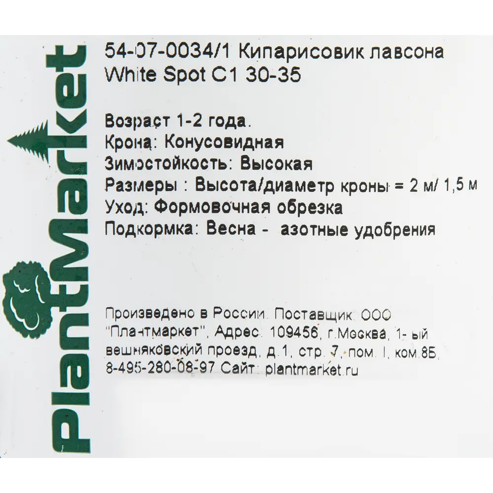 Кипарисовик лавсона «Уайт Спот» C1 30-35 см 82174066 STLM-2019302 PLANTMARKET  - Вид №1
