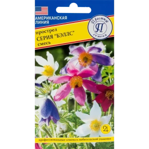 Прострел Бэллс смесь окрасок