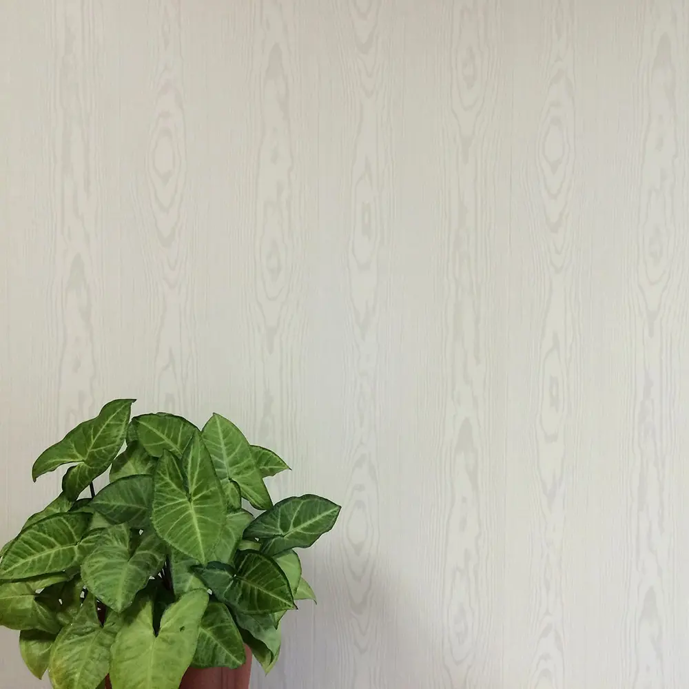 VENTA Панель ПВХ «Белая сосна» - элегантная отделка с текстурой дерева 18531176 STLM-0011139 - Вид №2