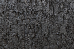 006 070 615 Рельефное пробковое настенное покрытие Bark Black GRANORTE RustiCork