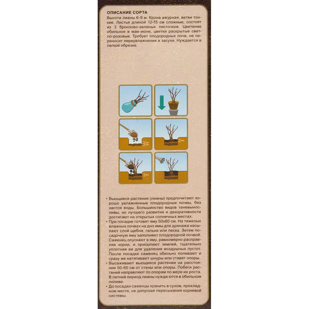 Клематис горный розовый в тубе ВСЕ В САД STLM-2008720 - Вид №2