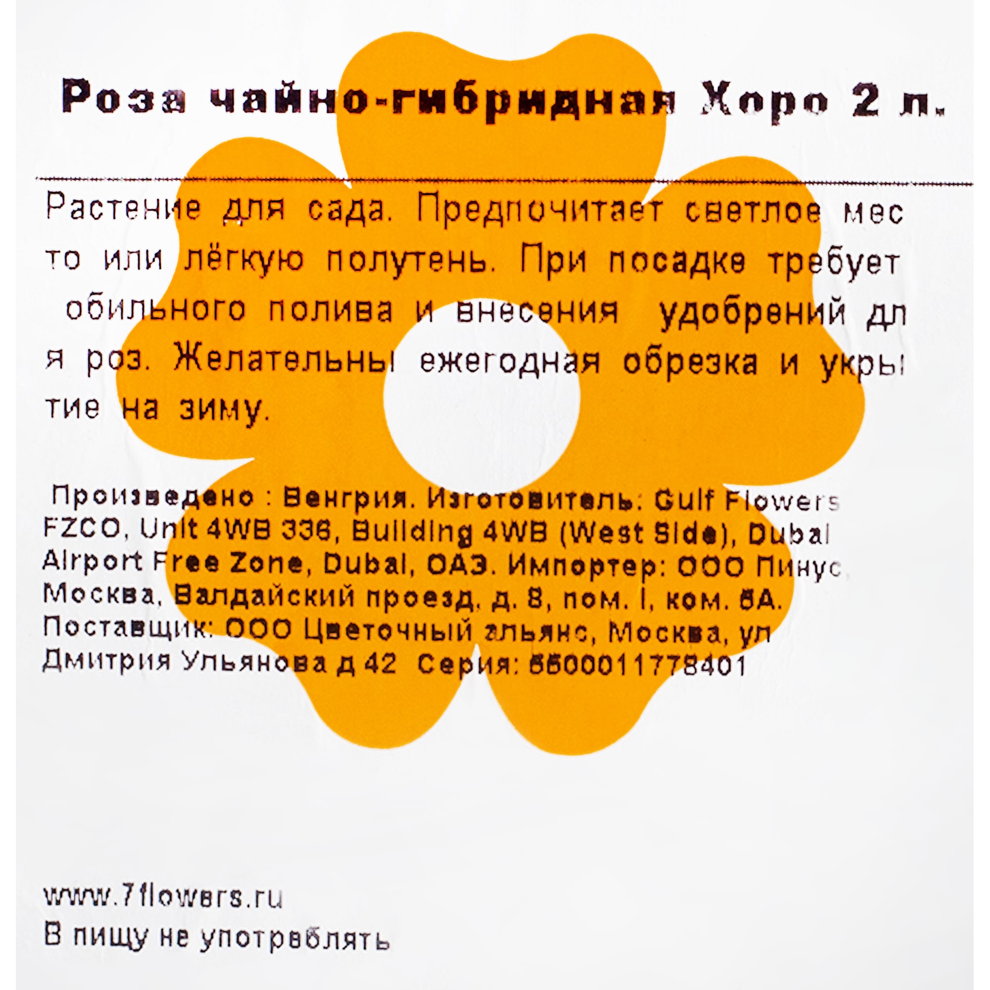 82155580 Роза чайно-гибридная Хоро 2 л Santreyd  - Вид №1