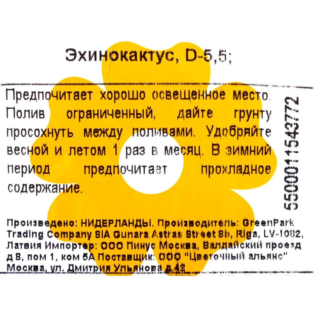 Эхинокактус 6х10 см 12502171 STLM-2201156 Santreyd  - Вид №2